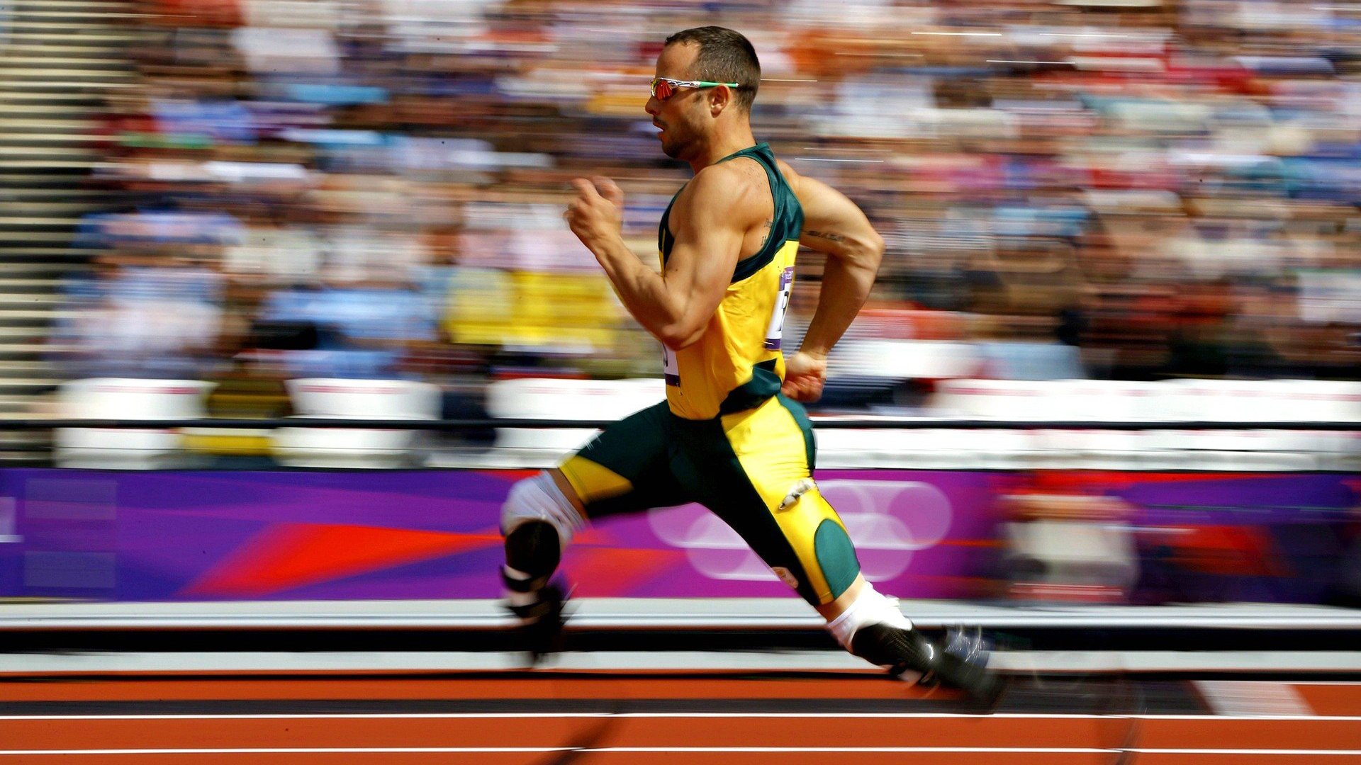 冬季运动器材展引发采购热潮，运动器材展会有哪些